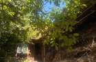 Vand casa in zona Brusturi, Jud.Arad - 2