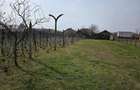 Vand casa comuna Celaru, sat.Soreni ,jud.Dolj - 5