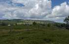 Teren | 13600 mp | Marisel - 6