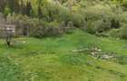 Intravilan | 10.000 mp| Satic-Rucar | Acces facil | Poten?ial excelent