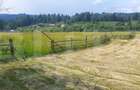 Teren 10.000 mp, intravilan, zona Neagra Sarului