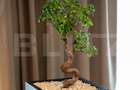 Apartament cu 2 camere, Premium, 57 mp, Silk District - 5