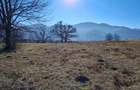 Teren intravilan 2.217 mp cu panorama superba | Alexandru cel Bun Vii?oara str. Scorusului - 1