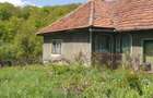Casa si teren de vanzare - 5