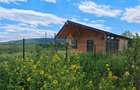 Teren 1165 mp + Cabana de vanzare in Garleni aproape de natura - 18