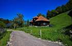 FILM! Proprietate autentica, Bran-Simon, 4.300 mp teren, casa traditionala + ane - 16