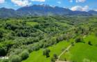 Teren extravilan 20.000 mp, zona Bran, vedere spre Mun?ii Bucegi - 6