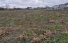 Vand teren intravilan - 5