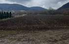 6700 MP TEREN ALBESTI- SIGHISOARA - 5