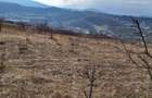 Teren Intravilan 43Ari zona Ortelec-Zalau intre case 4800eur/ar - 2