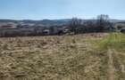Oferta! Teren intravilan, 1253 mp, frt: 41 m, in Borhanci
