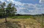 Teren Intravilan 1.500 mp Salonta Cartier Fuveskert | Front 16m | Toate utilitatile la strada - 2