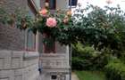 Vila P+E cu teren 2559 mp, vie, garaj, izvor - Borosteni, Gorj - 5