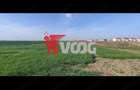 Teren 10000mp-Sacalaz de vanzare - 9