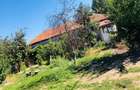 Casa de vanzare 1400mp - 5