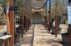apartament 2 cam ALEZZI BEACH RESORT inchiriat termen lung/vanzare - 6