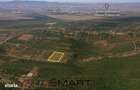 Teren 8000mp Daia noua