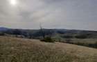 De vanzare,Tomnatic Bihor