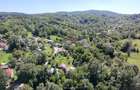 Teren Intravilan 8.277 mp Provița de Jos – Utilități, Râu & Pădure - 7