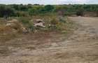Teren de vanzare 1000mp2 zona Ciurea langa fabrica de sifoane detalii la tel - 4