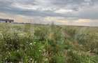 Teren intravilan de vanzare, 536 mp/lot, zona Ulmi - 2