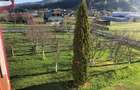 Casa P+1E + 3 ha Teren, Vatra Dornei, 125000 Euro - 3
