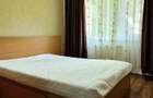 Apartament 1 camera de inchiriat Podu Ro? - 3
