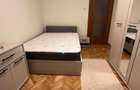 Apartament 3 camere decomandate, Brazda lui Novac, etaj 2 de inchiriat - 5