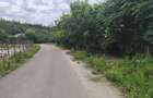 Izvoarele, Hotarele, Giurgiu - 7