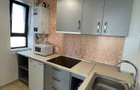 Apartamente de inchiriat Studio / 2 camere / 3 camere 250-350 - 4