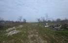 Teren intravilan, 5000 mp, zona Rovine 2 UTILITATI - 2