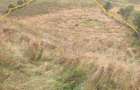 Teren intravilan, 7500 mp, zona Vatra Dornei - 4