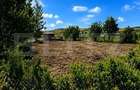 Teren de vanzare 942 m2 | Zavoaie, Bistrita | Acces direct la rau