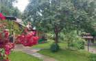 Casa gospodarului, înconjurată de natură, Comarnic - 16