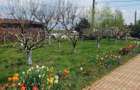 Casa de Vanzare,suprafata 1300m2,casa+teren - 7