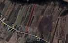 Teren 3.800 mp la 20 km de Craiova, ideal investitie, zona de relaxare - 3