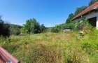 Terencu intravilan de vanzare, casa zona PRIGORIA - 2