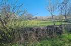 Gradina intravilan 16 arii - 2