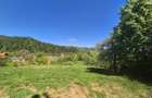 Teren 1577 mp, intravilan Schei, Brasov - 7