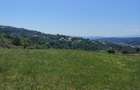 Teren agricol extravilan de 7300 mp, în Baciu