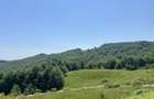Investitie Turism | Casa | 5164 mp teren | Lac Propriu | Malu cu Flori - 19
