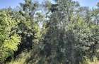 vand teren agricol satul Crocna judetul Arad