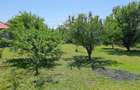 Casă cu 5 camere cu Teren 1375 Mp în Frumușani - 4