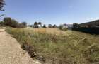 Teren intravilan de vanzare | Sucevita | Front 53 m - 5