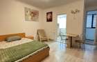 Pet friendly Mutare imediata-Garsoniera cu bucatarie inchisa si balcon - 7