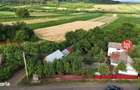 SE VINDE Gospodarie taraneasca, Valea Glodului (Vulturesti), jud. SV - 10