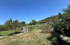 Teren intravilan 1300 mp toate utilitatile sat Tamasi - 3
