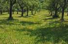 Casă cu 4 camere în Coasta Cerbului - 3