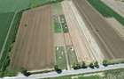 Teren intravilan 710 M2 imprejmuit com. Reci Covasna