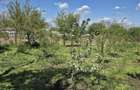 Teren agricol intravilan de 2050 mp, în Valea Măcrișului - 11